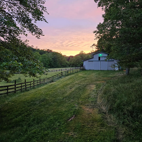McCracken Farm Designs 