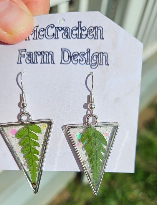 Silver triangle fern leaves